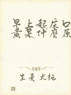 早上起床口苦尿黄是什么原因