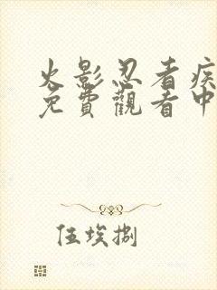 火影忍者疾风传免费观看中文版