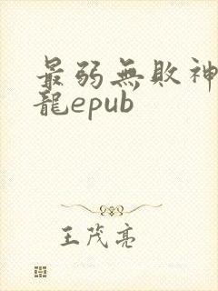 最弱无败神装机龙epub