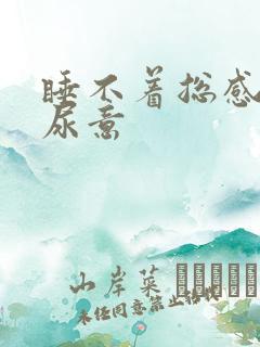 睡不着总感觉有尿意