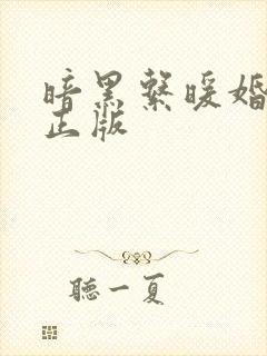 暗黑系暖婚小说正版