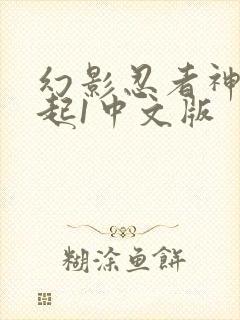 幻影忍者神龙崛起1中文版