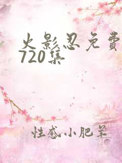 火影忍免费观看720集