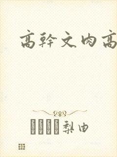 高干文肉高h