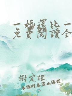 一婚还比一婚高免费阅读全文小说