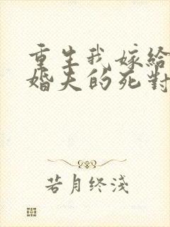 重生我嫁给了未婚夫的死对头