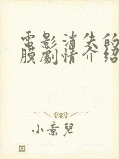 电影消失的眼角膜剧情介绍