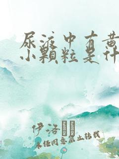 尿液中有黄色的小颗粒是什么原因