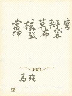 当校草掰弯了男神 蓝布袋