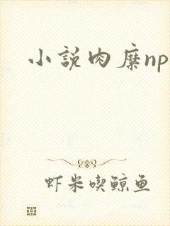 小说肉糜np
