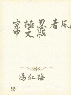 究极忍者风暴4中文版