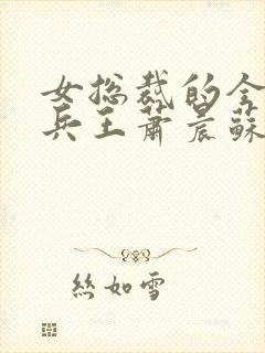 女总裁的全能型兵王萧晨苏晴