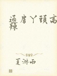 通房丫头高h肉辣