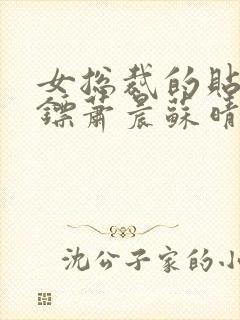 女总裁的贴身保镖萧晨苏晴