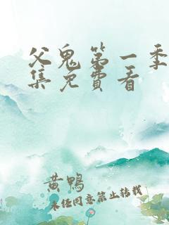 父鬼第一季有几集免费看