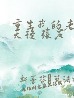 重生我的老婆是天后 张友