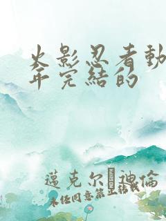 火影忍者动漫哪年完结的