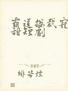 霸道总裁宠妻超甜短剧