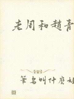 老周和赵青小说