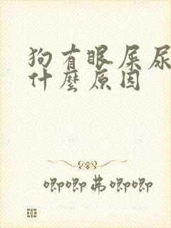 狗有眼屎尿黄是什么原因