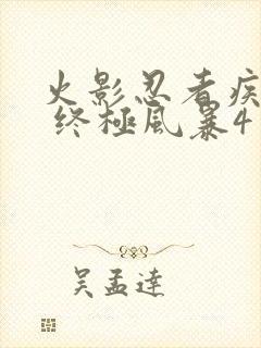 火影忍者疾风传 终极风暴4 博人传