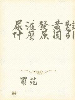 尿液发黄难闻是什么原因引起的女性