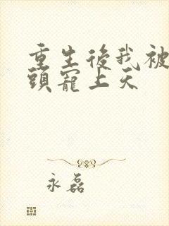 重生后我被死对头宠上天