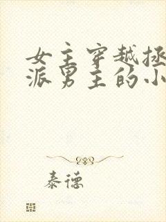 女主穿越拯救反派男主的小说