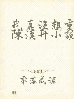 我真没想重生啊陈汉升小说无弹窗