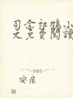 司念祁鹤小说全文免费阅读