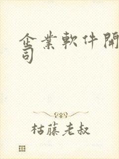 企业软件开发公司