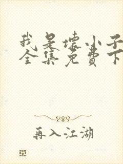 我是坏小子漫画全集免费下拉式漫画