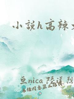 小说h高辣文