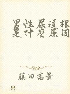 男性尿道根部痒是什么原因