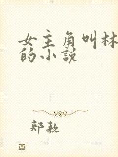女主角叫林恩恩的小说