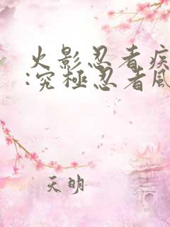 火影忍者疾风传:究极忍者风暴1