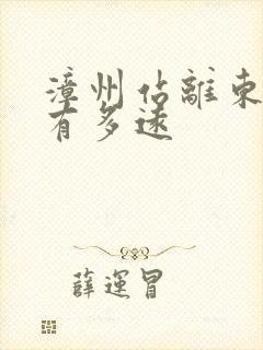 漳州站离东山岛有多远