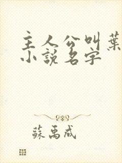 主人公叫叶凡的小说名字