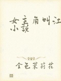 女主角叫江晴的小说