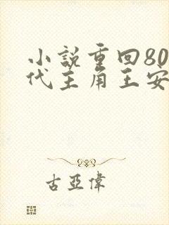 小说重回80年代主角王安国的小说