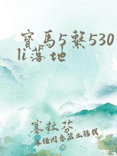 宝马5系530li落地