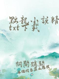 黜龙小说精校版txt下载