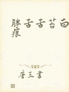 胖舌舌苔白腻齿痕