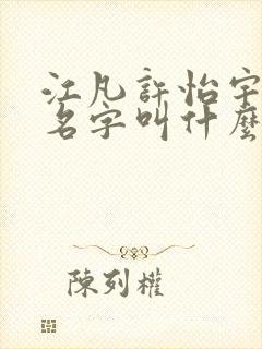 江凡许怡宇小说名字叫什么