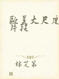 欧美大尺度床戏片段