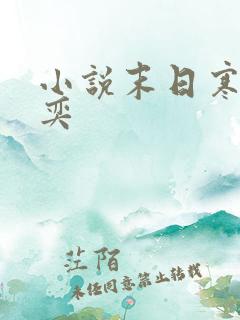 小说末日寒冰张奕