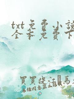 txt免费小说全本免费下载网站