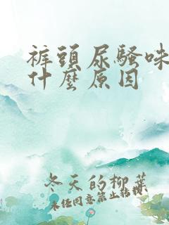 裤头尿骚味重是什么原因