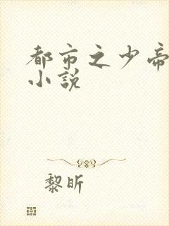 都市之少帝归来小说