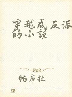 穿越成反派他妈的小说